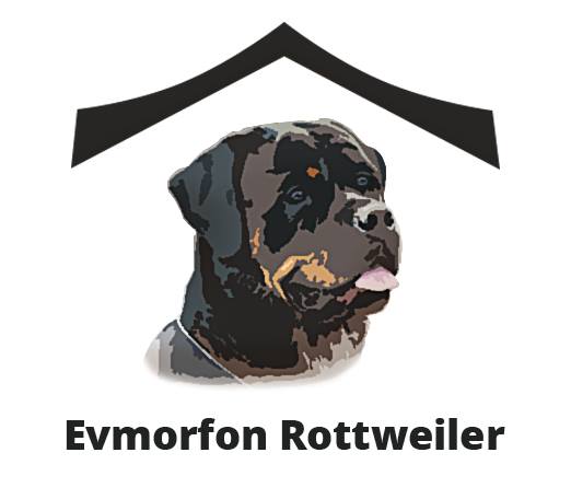 Evmorfon Rottweiler Kennel